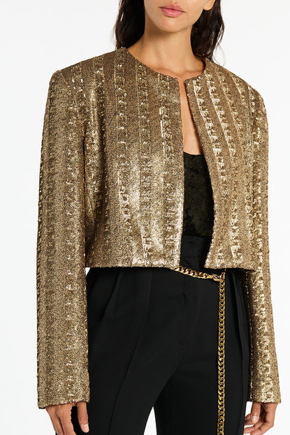 Gold on sale sparkly jacket